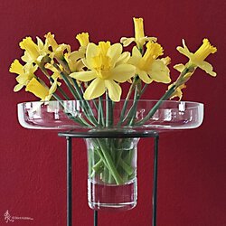 Die Vase
